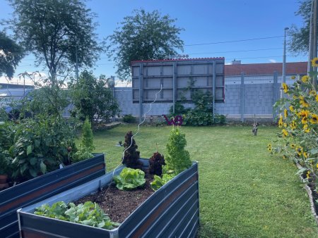 1210 Wien, 348 m² Eigengrund mit älteren Abrisshaus!