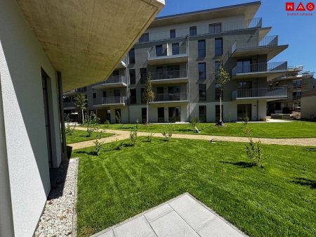 Garten mit Terrasse KI