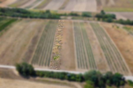 Landwirtschaftliches Grundstück in der KG Groß-Schweinbarth - 1838m2
