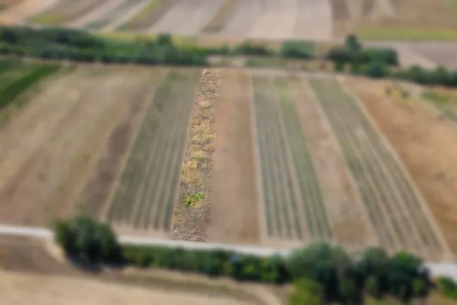Landwirtschaftliches Grundstück in der KG Groß-Schweinbarth - 1838m2 - Titelbild