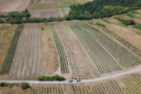 Landwirtschaftliches Grundstück in der KG Auersthal - 2183m2
