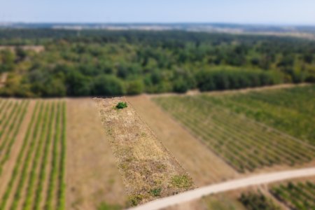 Landwirtschaftliches Grundstück in der KG Groß-Schweinbarth - 1611m2