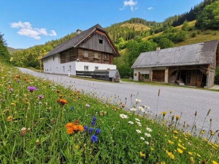 Ruhiges Zuhause mit Charakter und Nebengebäude - provisionsfrei für die Käufer