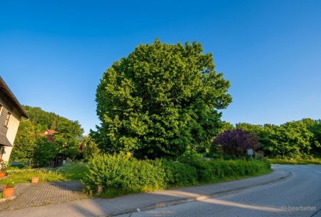 Baugrund 632 m² | Kein Bauzwang | Grein an der Donau | OÖ | € 85.000
