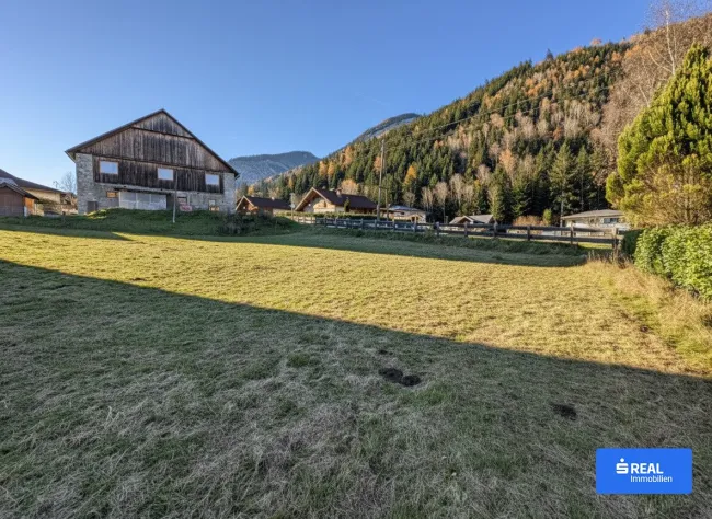 Hinter dem Blau der Berge. - Bild