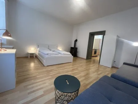 Ready for Airbnb- Fixfertig ausgestattete Wohnung im Zentrum - Bild