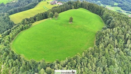 TRAUM-BERG GRILLPARZ im Herzen des Kremstals zum Verkauf! Über der Nebelgrenze!