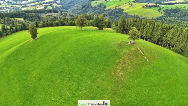 TRAUM-BERG GRILLPARZ im Herzen des Kremstals zum Verkauf! Über der Nebelgrenze! - Bild