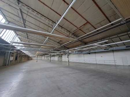 A2 Baden: Flexible Produktionshalle geeignet für Werkstatt, Produktion und Lager