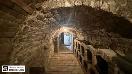 Weinbau-Grundstück mit Garten in Großnondorf – Natur und Ruhe zum Top-Preis!