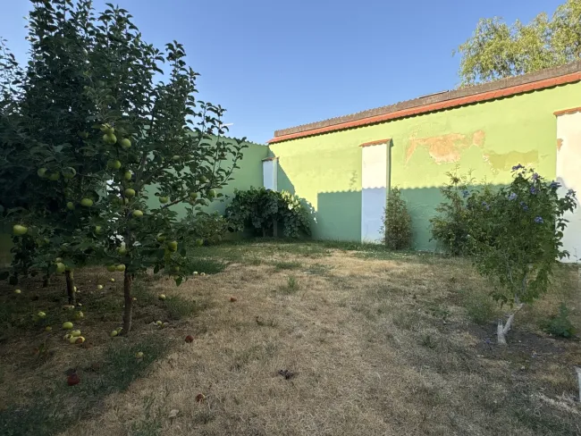 Garten mit Obstbestand