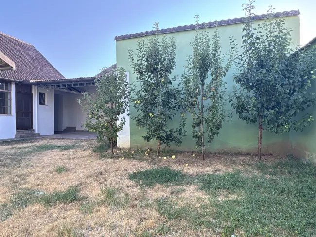Garten mit Obstbestand