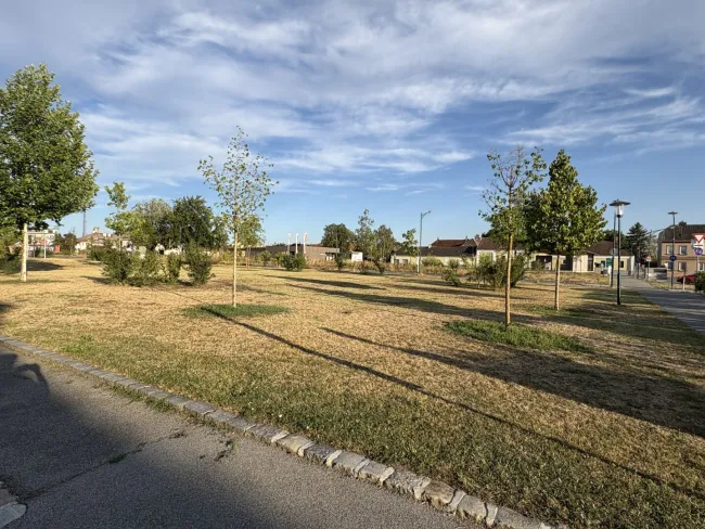 Öffentlicher Park