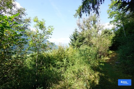 Kraftplatz am Sonnenplateau