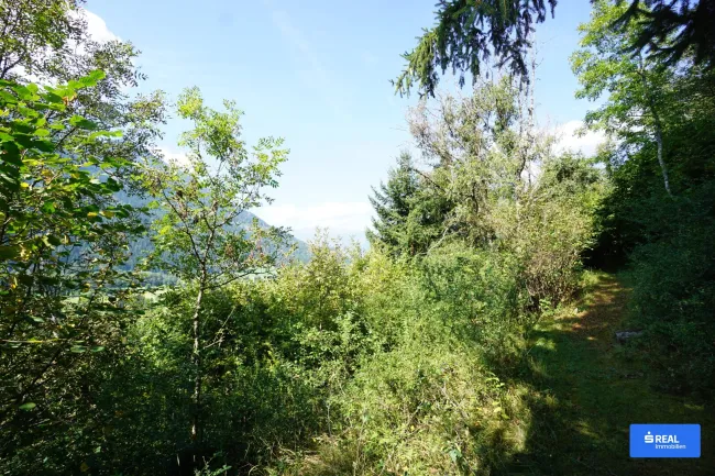 Kraftplatz am Sonnenplateau - Bild