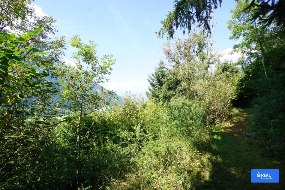Kraftplatz am Sonnenplateau - Bild