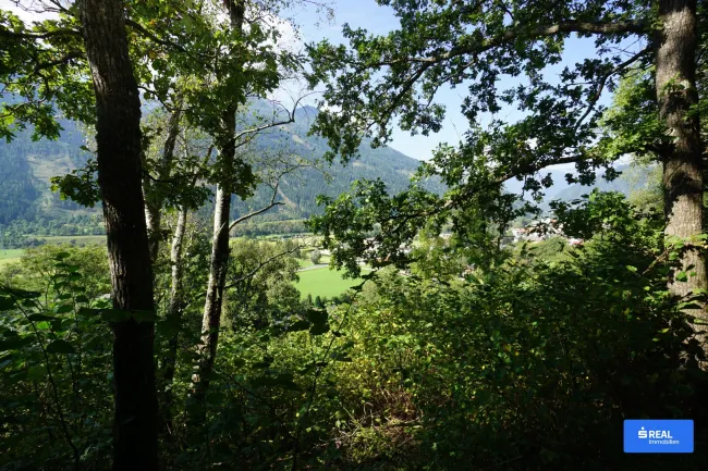 Kraftplatz am Sonnenplateau - Bild