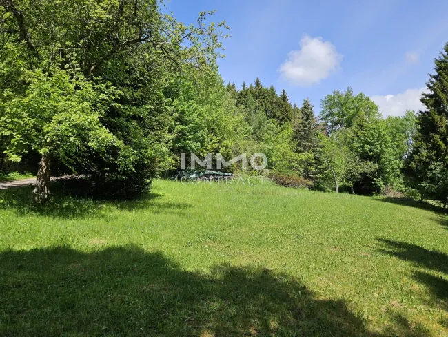 Wiese vor dem Haus