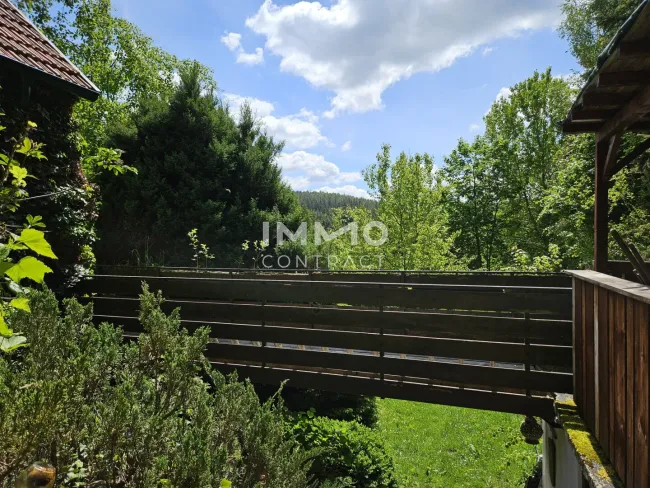 Blick vom Zugang zum Haus