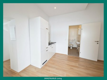 Kleine feine Stadtwohnung in Graz Gries – ideal für Singles, Studenten und Berufspendler!