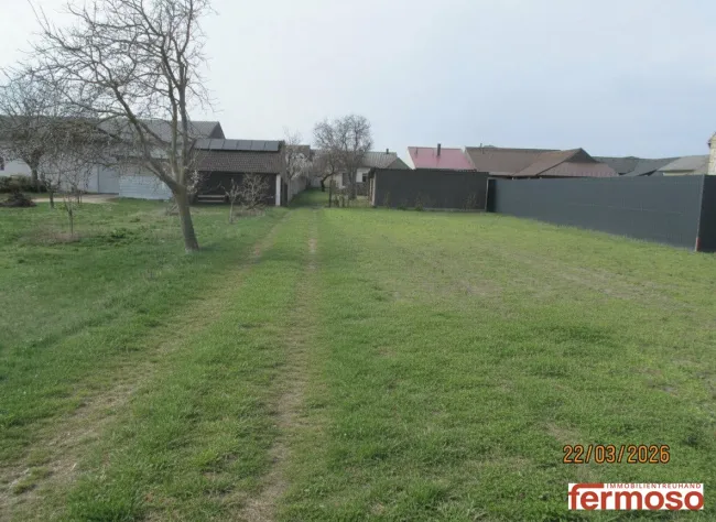 Baugrund 850m² mit schönem Ausblick in 7141 Podersdorf am See – Ihr Traumgrundstück! - Bild