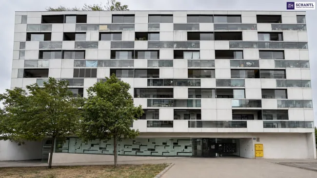 Hauptfassade, Eingang