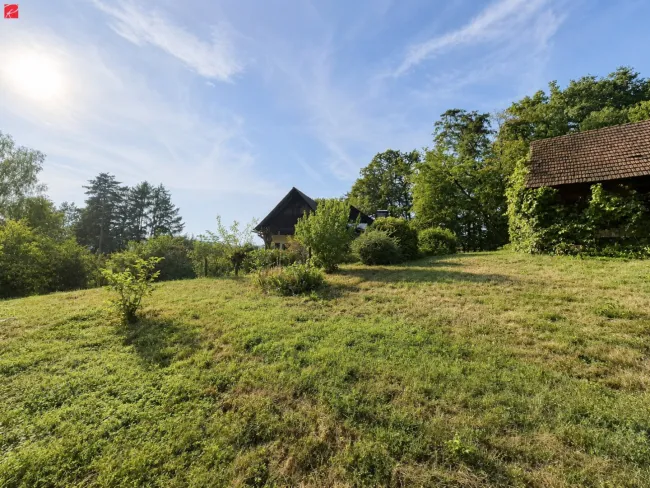 2.432 m² Bauland mit Altbestand & viel Potenzial - Titelbild