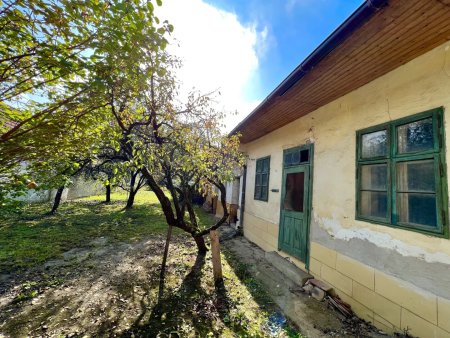 Großzügiges Gartengrundstück mit Altbestand, Brunnen und Obstbäumen – Ihr Rückzugsort im Grünen!