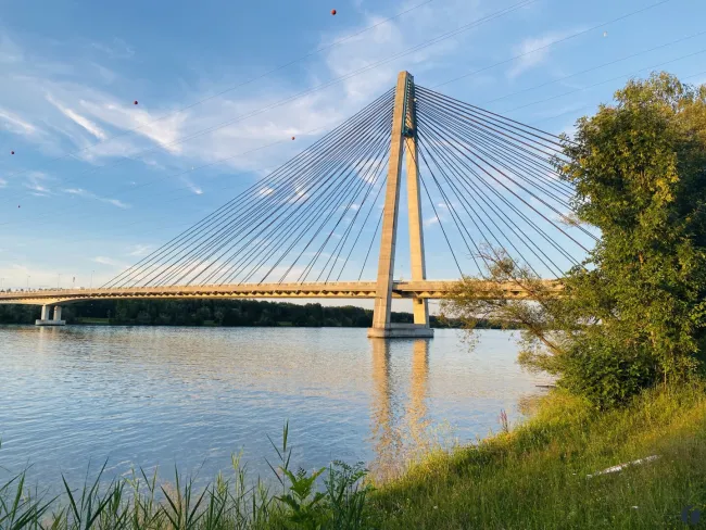 Impressionen aus der näheren Umgebung -  Rosenbrücke