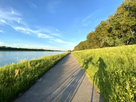 Impressionen aus der näheren Umgebung - Donaulände