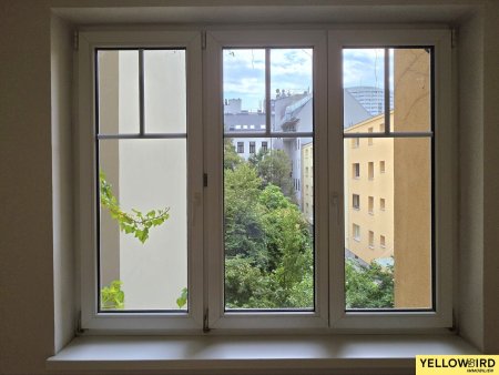 Blick Wohnküche