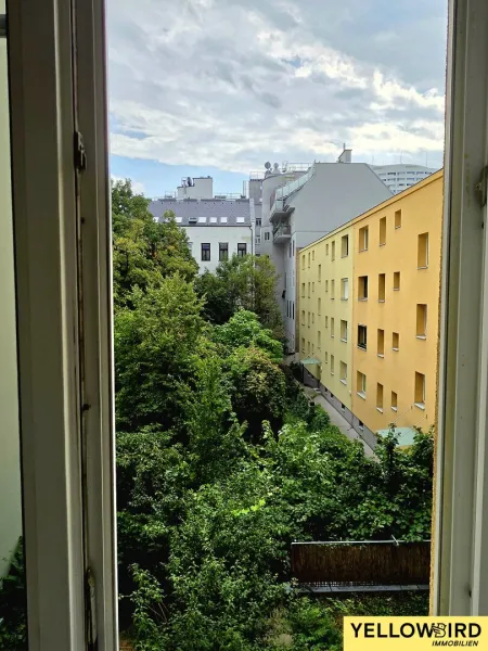 Ausblick SZ