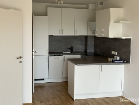 ANLEGER - 3,1% Rendite -Neuwertiges 2-Zimmerapartment mit Ruhebalkon und Fernblick | ZELLMANN IMMOBILIEN