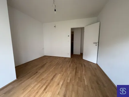 Zimmer 2