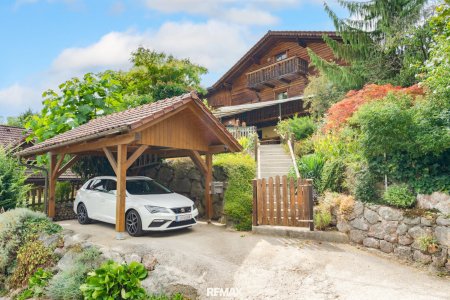 Carport + Zugang