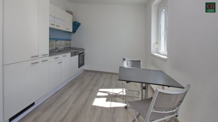 Sonnige, umfassend modernisierte 2- Zimmerwohnung mit Balkon