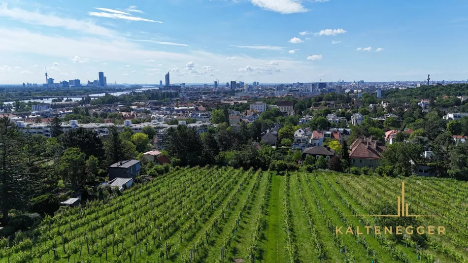 Einzigartige Villenlage am Fuße des Nussbergs - mit Baubewilligung Neubau Luxusvilla mit Pool und Tiefgarage - Titelbild