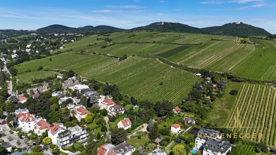Einzigartige Villenlage am Fuße des Nussbergs - mit Baubewilligung Neubau Luxusvilla mit Pool und Tiefgarage - Bild