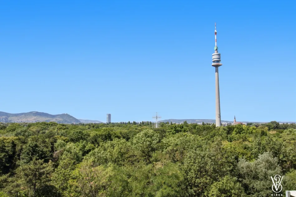 Am Donaupark: Helle 3-/4-Zimmer-Wohnung mit Fernblick, alles fußläufig erreichbar - Bild