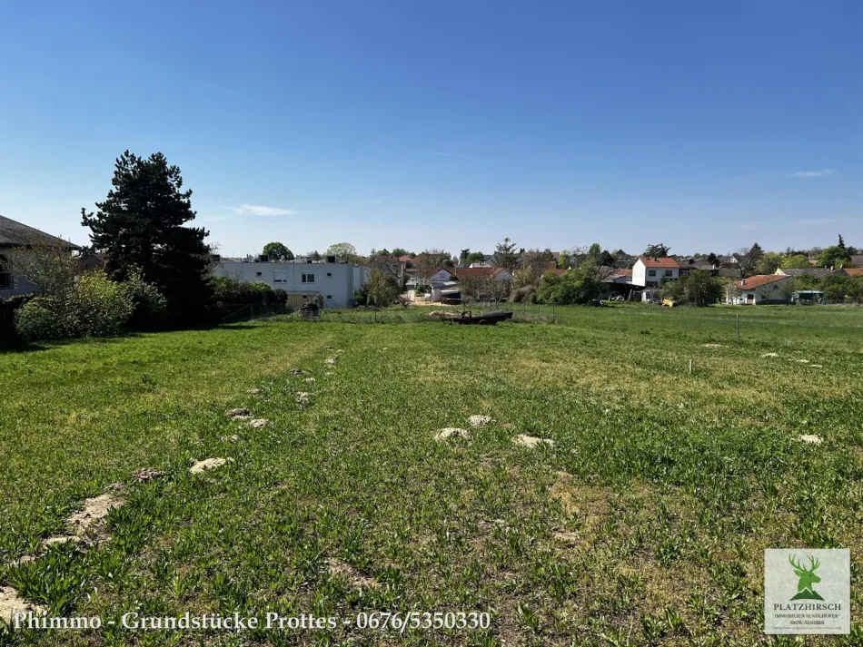 5 günstige Baugründe in wunderschöner Lage in Prottes !! 8 Min von Gänserndorf Stadt entfernt. - Bild