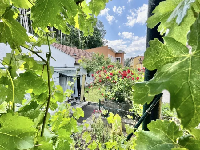 CHARMANTES EINFAMILIENHAUS IN RUHELAGE - Bild