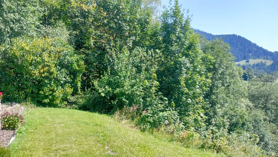 Großzügiges Baugrundstück 3143m² in Steinhaus am Semmering – Ihr Eigenheim wartet! - Bild