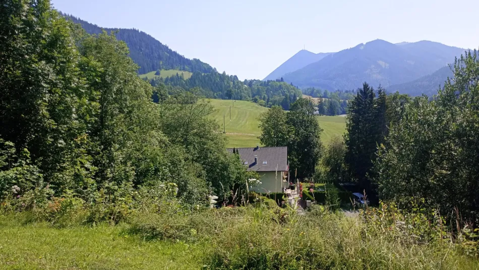 Großzügiges Baugrundstück 3143m² in Steinhaus am Semmering – Ihr Eigenheim wartet! - Titelbild