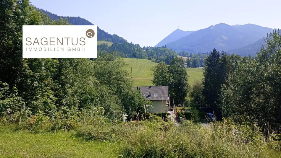 Großzügiges Baugrundstück 3143m² in Steinhaus am Semmering – Ihr Eigenheim wartet! - Titelbild