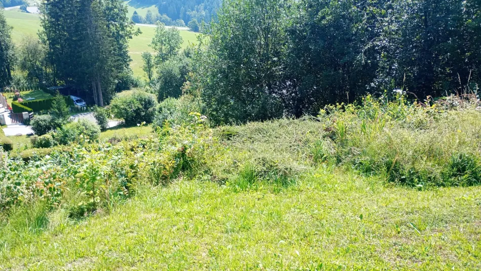 Großzügiges Baugrundstück 3143m² in Steinhaus am Semmering – Ihr Eigenheim wartet! - Bild