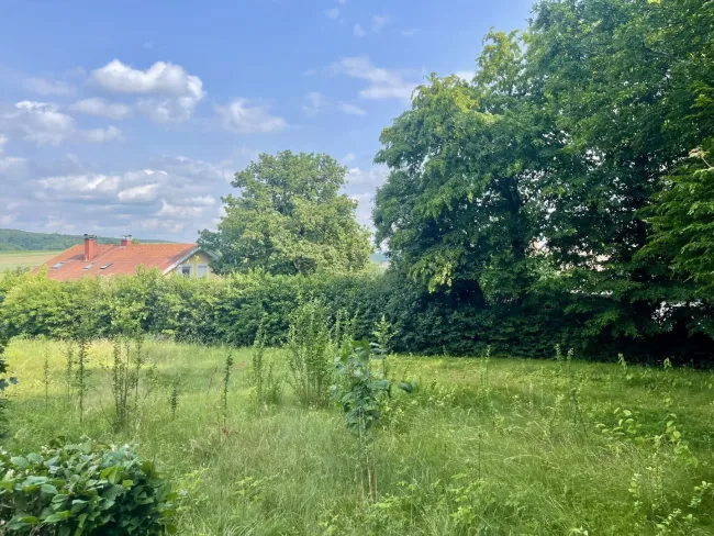 BAUGRUNDSTÜCK MIT SONNIGEM FERNBLICK - Bild