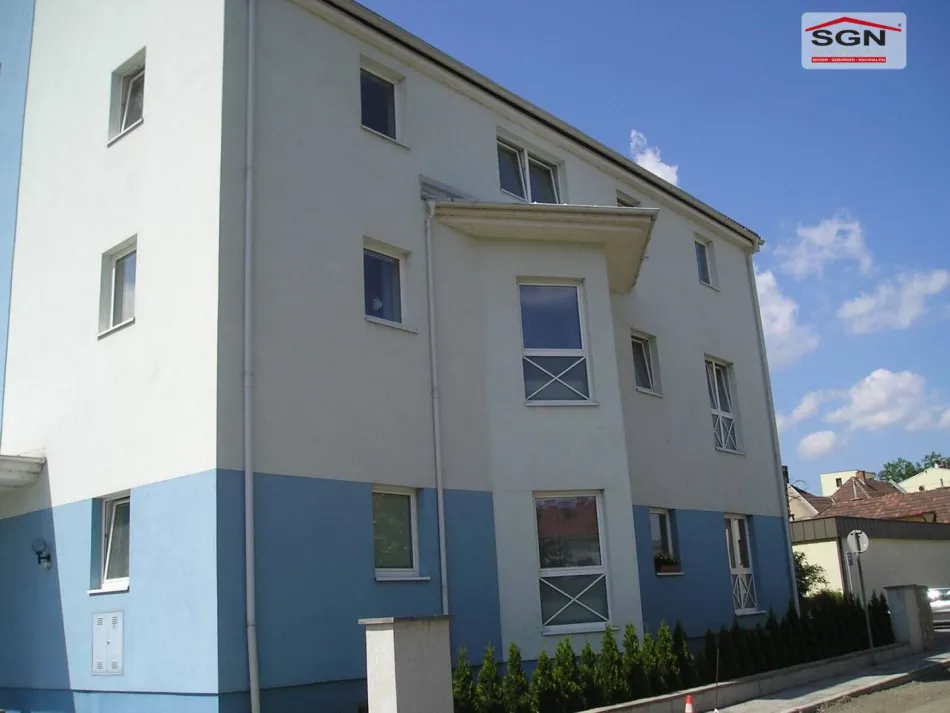 Geräumige 1 Zimmerwohnung - Bild
