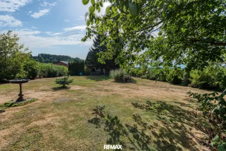 Garten hinten