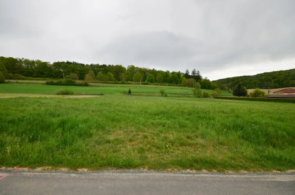 Beinahe 5.900 m² - BAUGRUNDSTÜCK am Ortsrand in toller Lage - Bild