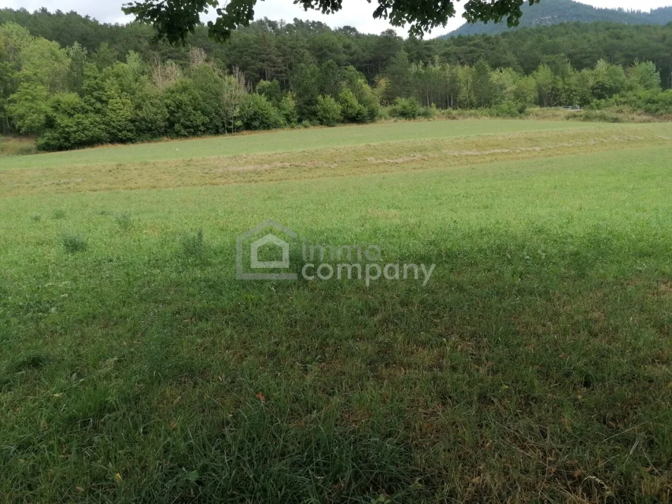 Wunderschönes Grundstück in Grünbach am Schneeberg - ca. 5.200 m² mit ca. 1.000 m² Bauland - Titelbild